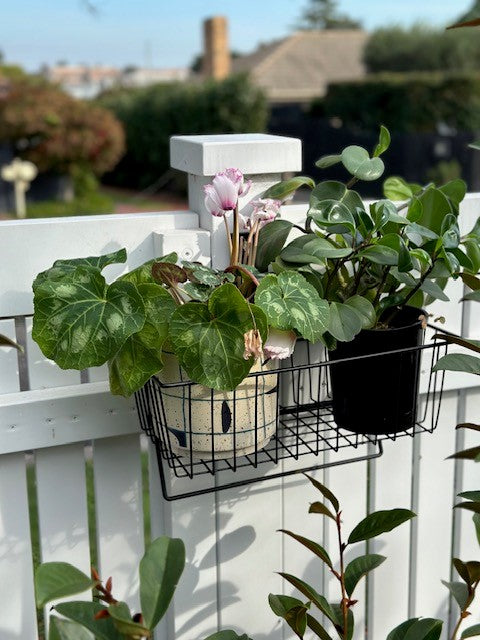 Gator Magnetics Small Utility Basket - 15kg Capacity