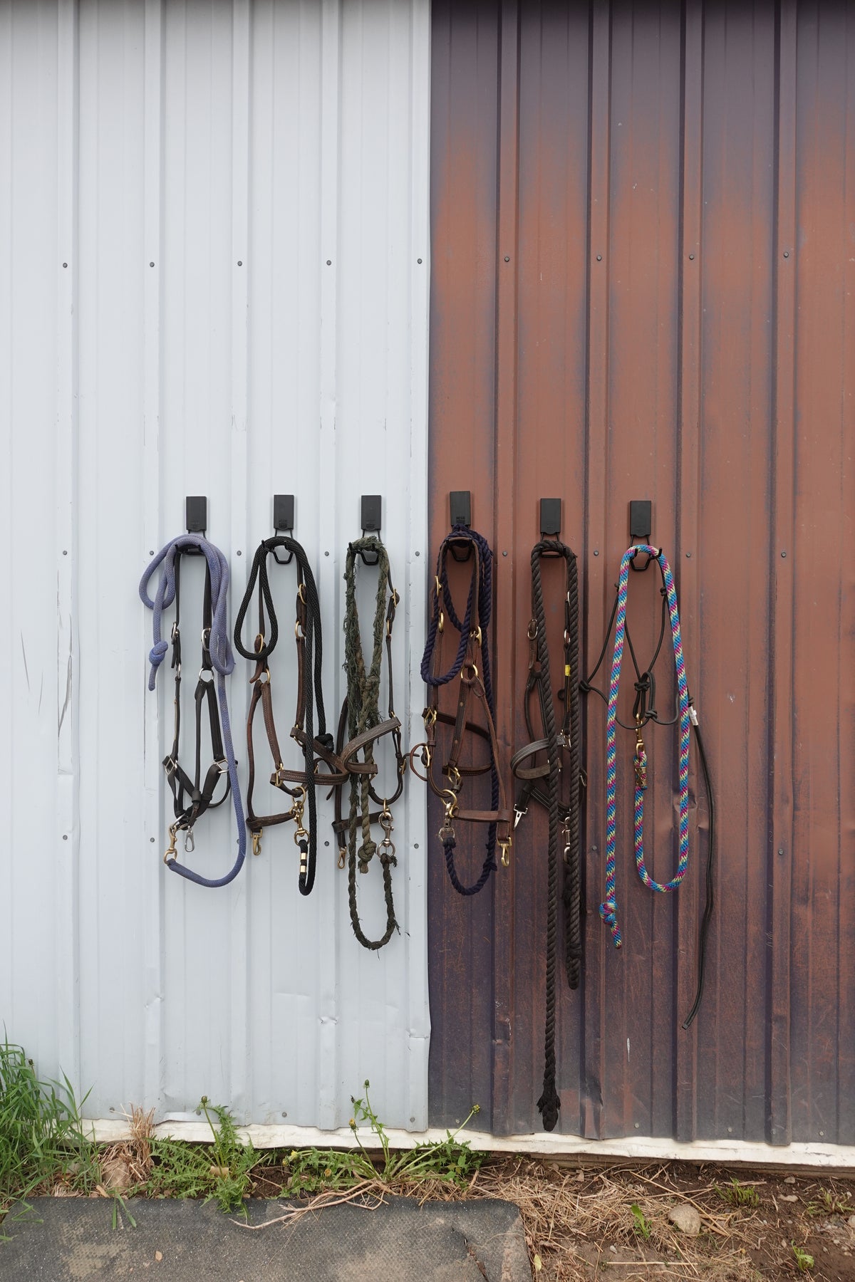 Every Piece of Horse Gear, Up Off the Ground